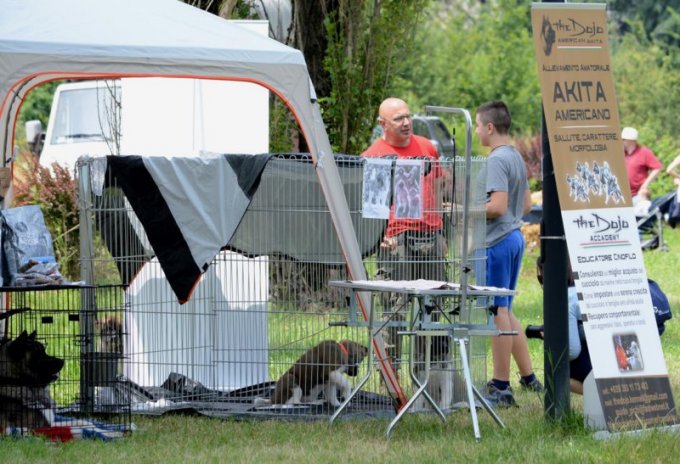 Oasi degli Amici Animali